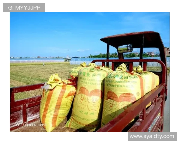 弗格的传奇人生与时代变迁的交织探索