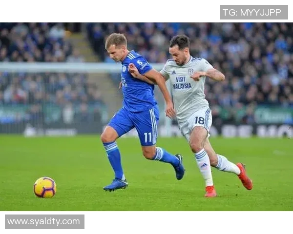 2019年加的夫城对阵热刺精彩直播回顾与赛后分析 2019年加的夫城对阵热刺精彩直播回顾与赛后分析