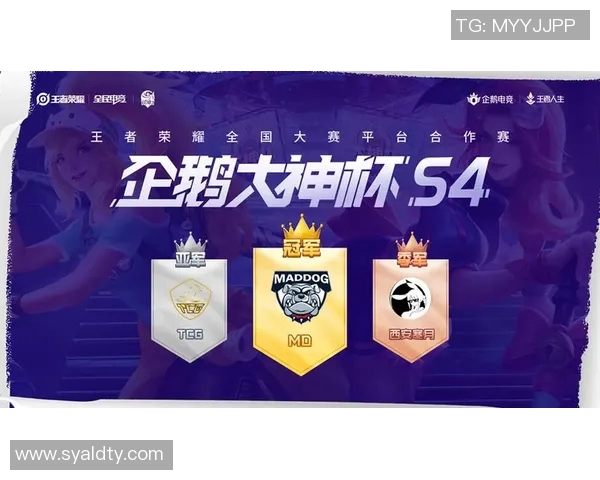 北海道水手对决精彩纷呈赛季回顾与未来展望