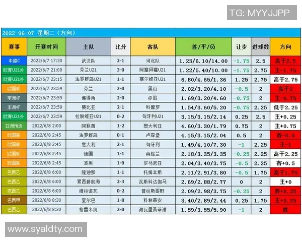 摩洛哥与伊朗技术数据全面分析及比赛表现对比